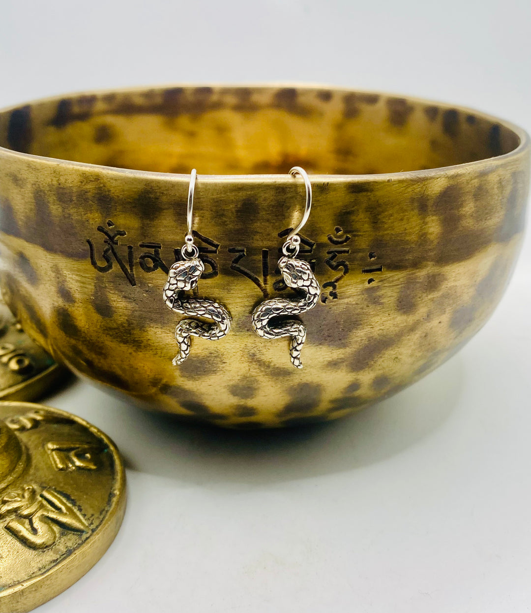 Silver Snake Earrings