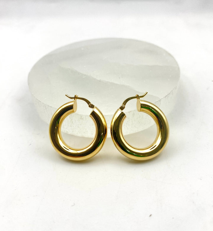 Golden Luxe Hoops
