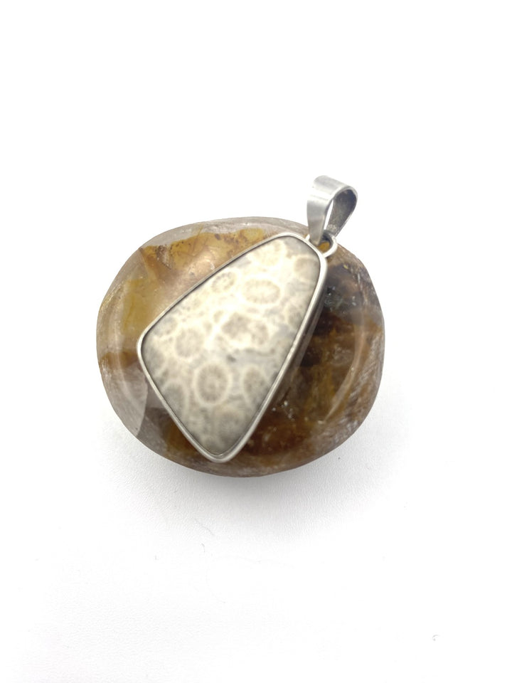 Fossilised Coral Pendant