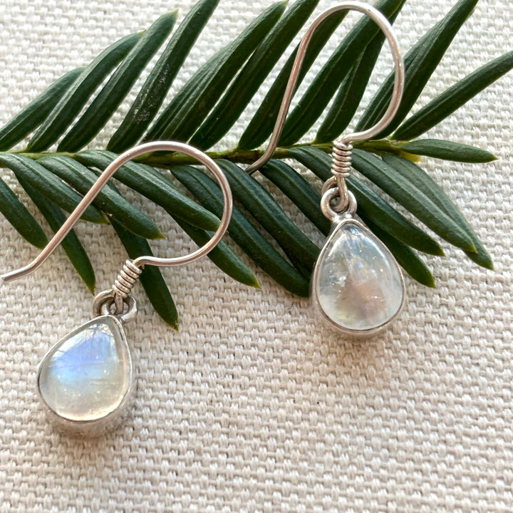 Teardrop Moonstone Earrings