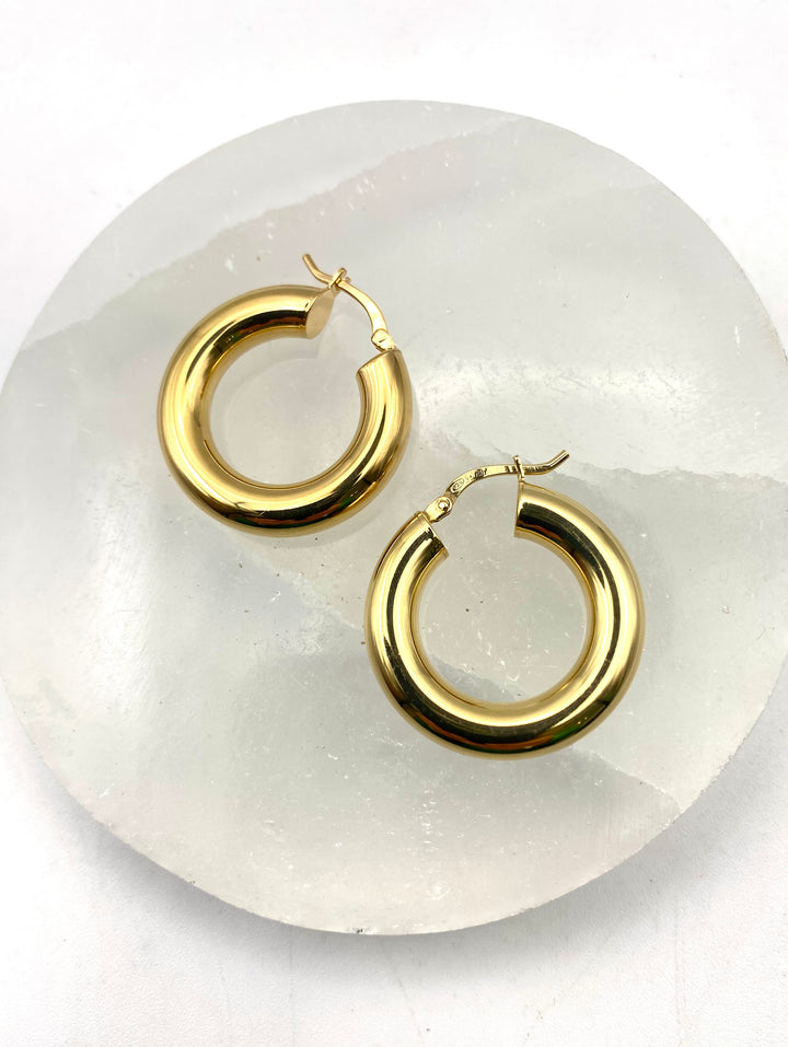 Golden Luxe Hoops